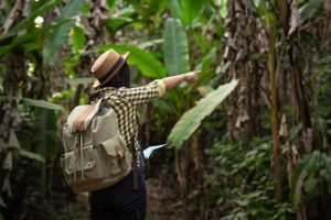 Belezas Naturais do Jalapão: O Paraíso Ecológico do Brasil